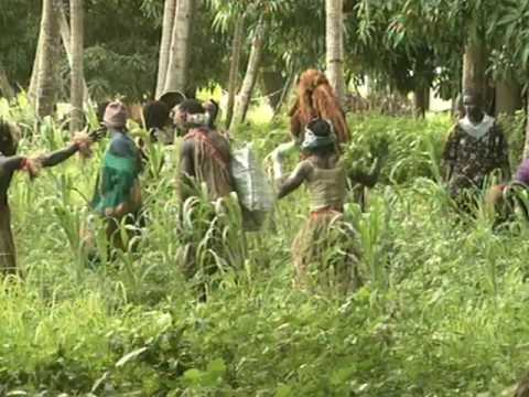 People farming in the Mali Empire
